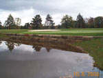 Landscaping Image